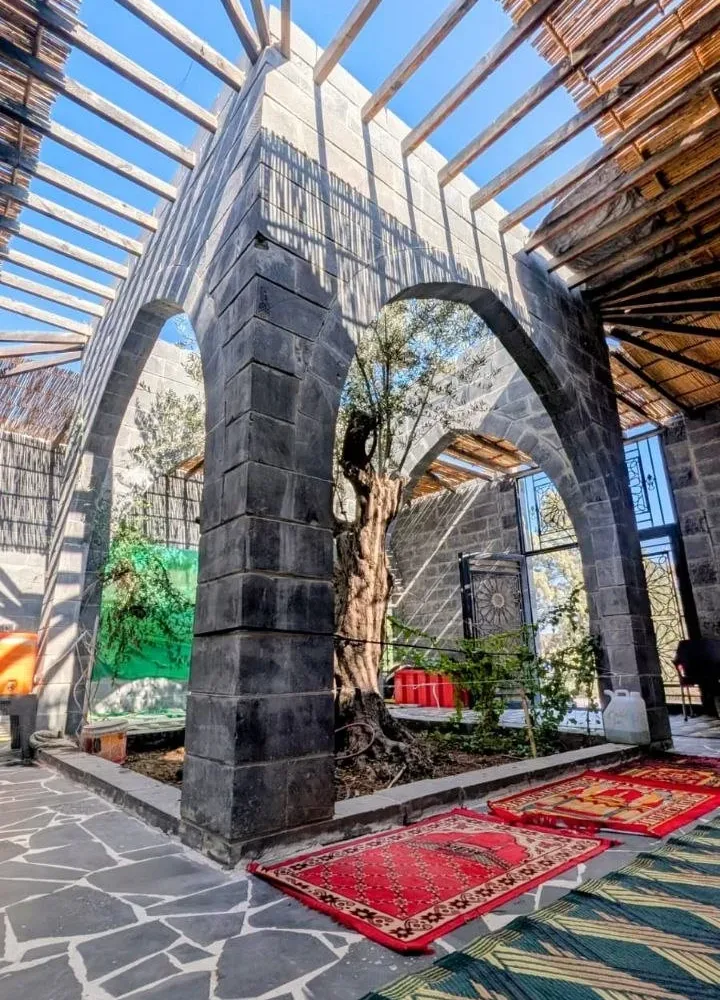 Black basalt arches and an ancient olive tree at the maqam of Imam al-Nawawi in Nawa, prayer rugs laid on the paving beneath a reed canopy