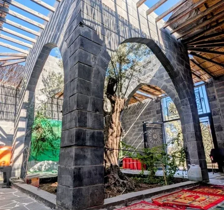 Black basalt arches and an ancient olive tree at the maqam of Imam al-Nawawi in Nawa, prayer rugs laid on the paving beneath a reed canopy